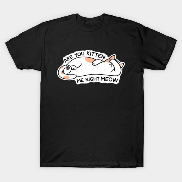 Are you kitten me right meow T-Shirt by KadyIllustrates